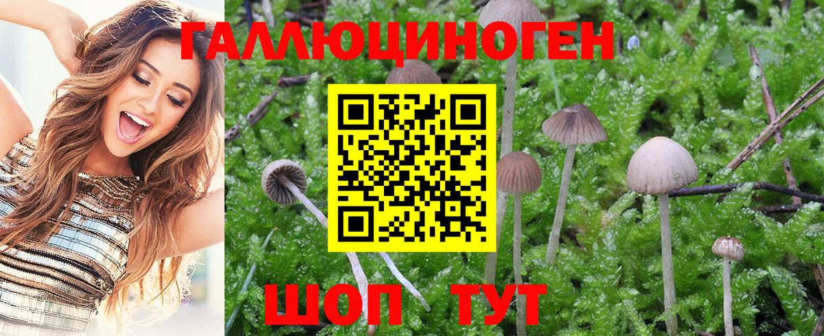 Галлюциногенные грибы Magic Shrooms  Вход с VPN  Каменск-Шахтинский  Псилоцибиновые грибы мухоморы 